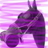 Dimetapp Codeswitch Duello's profile picture