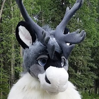 Nunavut Tuktu's profile picture