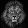 Edgar Barbosa's profile picture