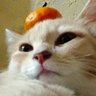 mmmyow's profile picture