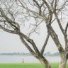 Фото профиля คนบ้านๆ