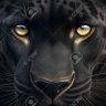 Pierp76's profile picture