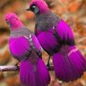 Фото профиля عابر سبيل