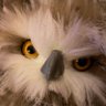 Profilbild von Kolo Raphtis Golf
