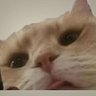 ann profil fotoğrafı