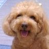 みなみ profil fotoğrafı