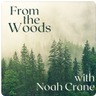 FromTheWoods's profile picture