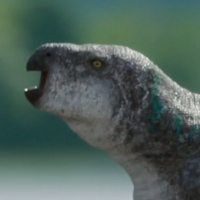 raftingzalmoxes's profile picture