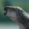 Profilbild von Palaeoncryptozoologist Briton