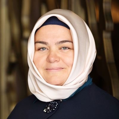ProfDrAGurcan's profile picture