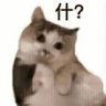 Profilbild von lih