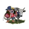 Profilbild von FellaWithACow