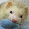 fwrret's profile picture