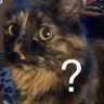 melty..'s profile picture