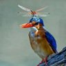 SluBoss profil fotoğrafı