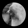 طرقي الفهاد's profile picture