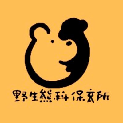 bearhunt80's profile picture