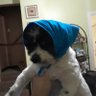iAmPutheken's profile picture
