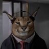 Profilbild von Kyut