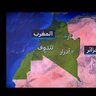 Alfa Noble مغربي وافتخر 的头像