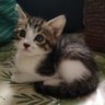 Profilbild von カモ