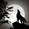 FX-Wolf 的头像