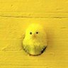 Lorfi Gabr's profile picture