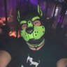 Profilbild von Pup_Leon🔜Folsom Berlin