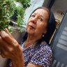 Profilbild von josefina Millán