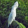 Фото профиля منصور
