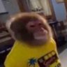 Jake n Bake's profile picture