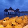 Фото профиля H. Said