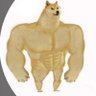 AQ's profile picture