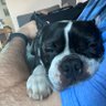 paulr profil fotoğrafı