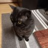 美紀's profile picture
