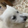 Profilbild von test bot