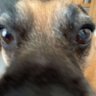 Peggerz 🦢 profil fotoğrafı