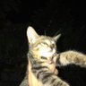 Profilbild von saya terpaksa
