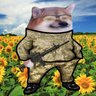 Profilbild von Kastus 👊🇺🇸🔥 🇺🇦🇨🇦🇬🇱🇪🇺🇨🇭