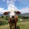 Yeimy Castaño profil fotoğrafı