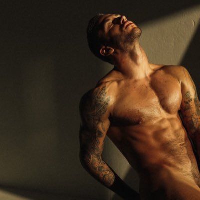domhardy95's profile picture