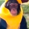 Profilbild von Mando