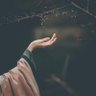 _ ا̍ﻻ̍مۭــٰٱ̍نۨــي ✨ profil fotoğrafı