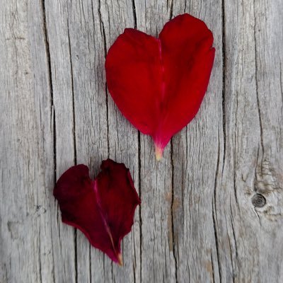 msslcouple's profile picture