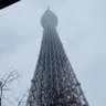 かける's profile picture