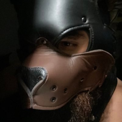 PIGDOGSP's profile picture