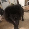 Balien 的头像