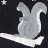 Flying Squirrel's profile picture