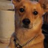 Profilbild von Victoria