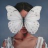 Profilbild von 🦋BM